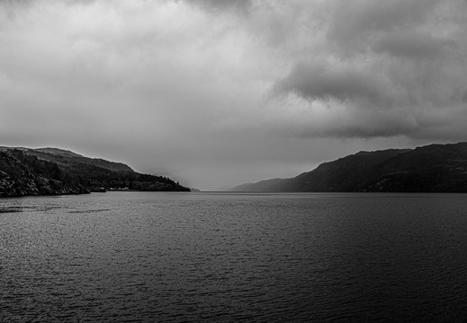 Landscape-2025.04-004