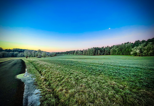 Landscape-2025.01-001