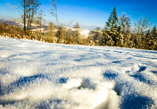 Landscape-2025.11-001